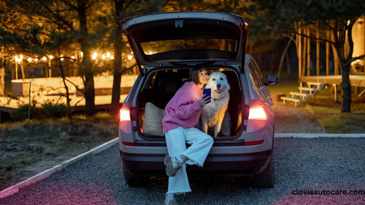 How to Maintain a Clean Car Aesthetic on Long Journeys